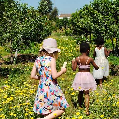 Santo Estevao  Chitaka'S Organic Farmhouse In Ribatejo מראה חיצוני תמונה