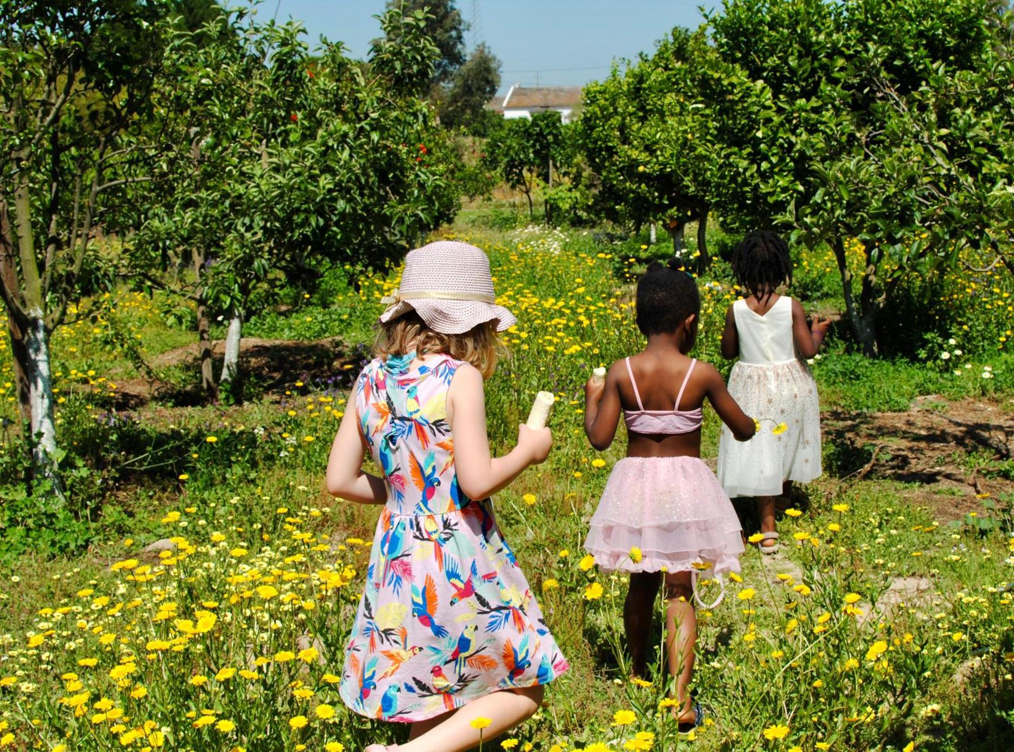 Santo Estevao  Chitaka'S Organic Farmhouse In Ribatejo מראה חיצוני תמונה